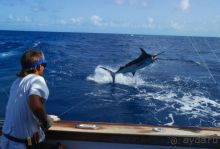 Остров Гран Канария