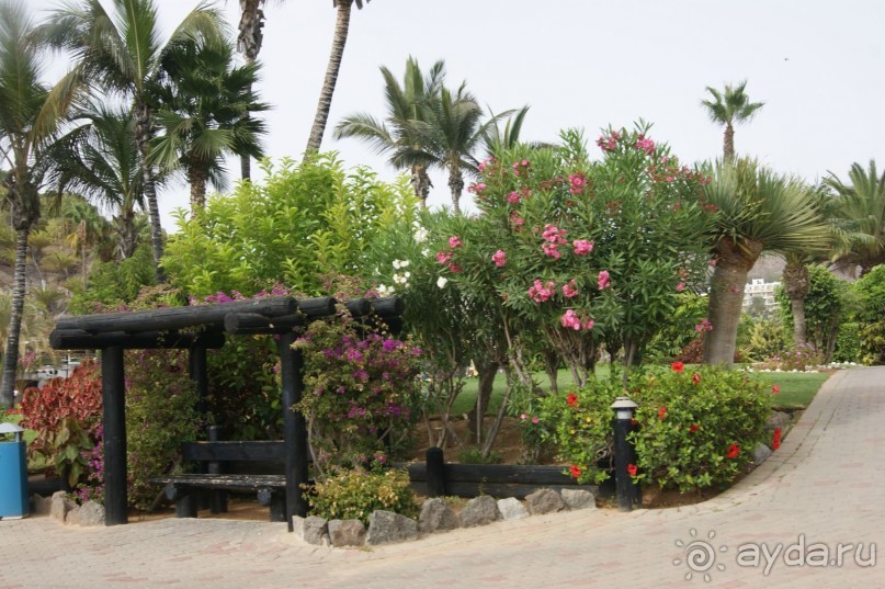 Остров Гран Канария