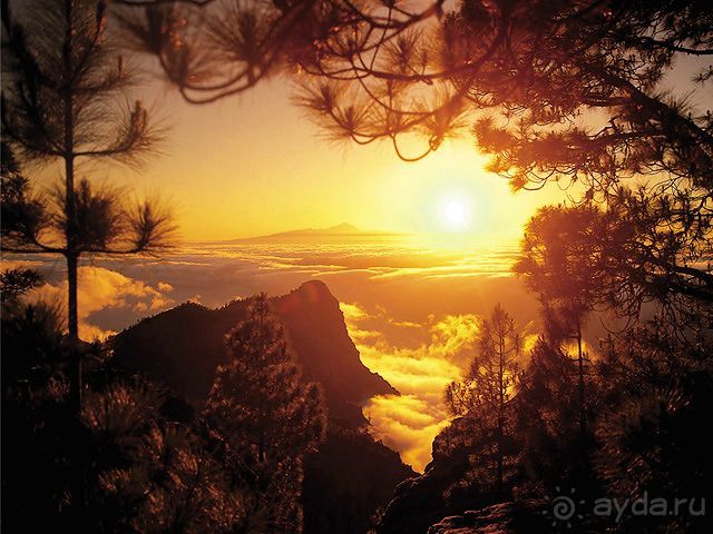 Остров Гран Канария