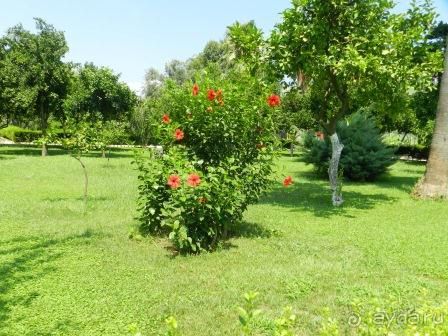 Твёрдая четвёрка