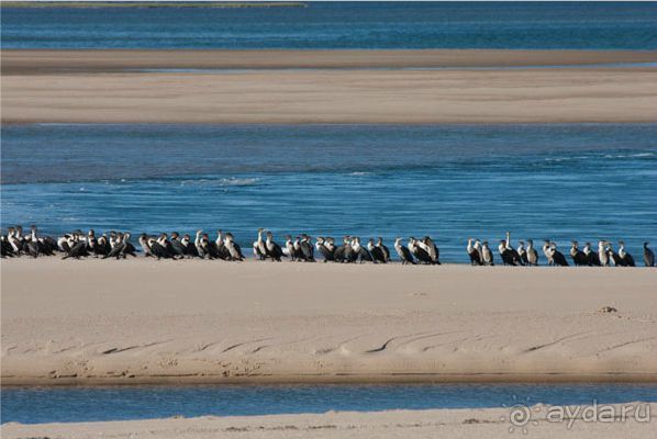 Бизнес тур в ЮАР, экспорт с/х продукции из ЮАР