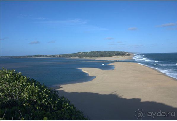 Бизнес тур в ЮАР, экспорт с/х продукции из ЮАР