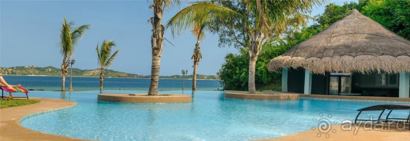 Бизнес тур в ЮАР, экспорт с/х продукции из ЮАР