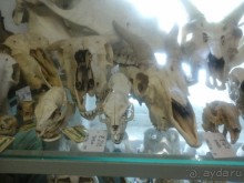 рай для коллекционеров