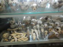 рай для коллекционеров