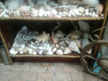 рай для коллекционеров