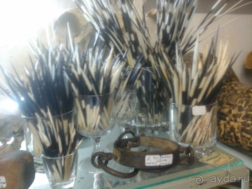 рай для коллекционеров