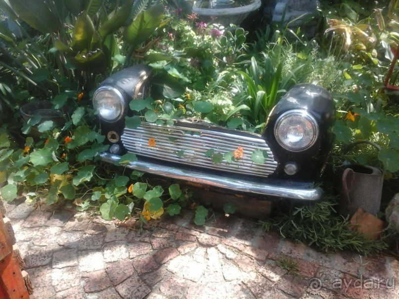 рай для коллекционеров