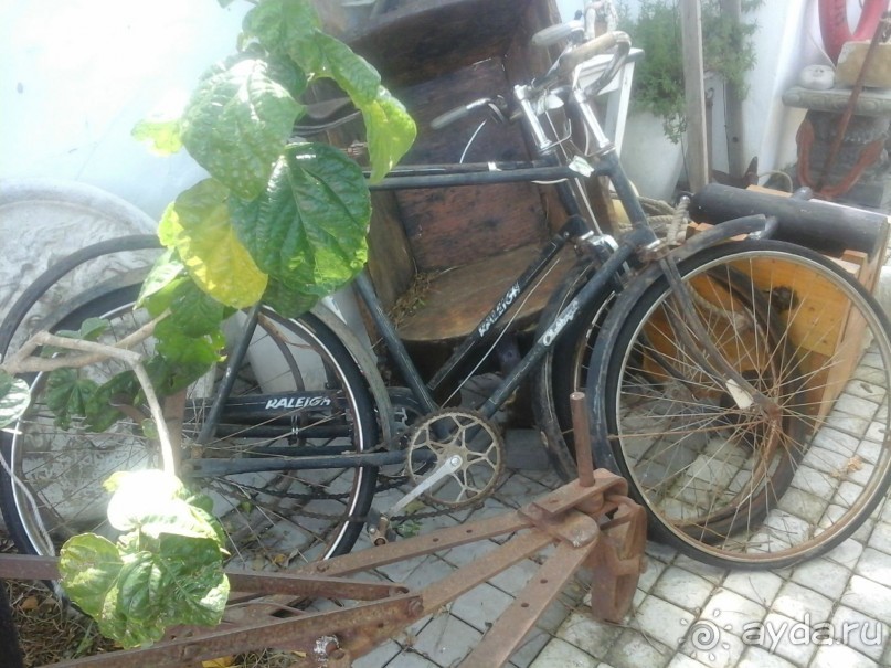 рай для коллекционеров