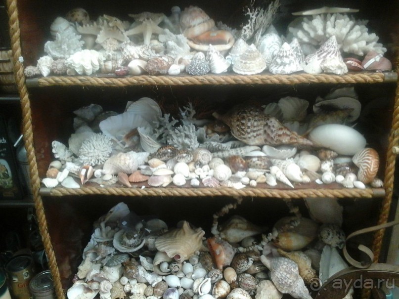 рай для коллекционеров