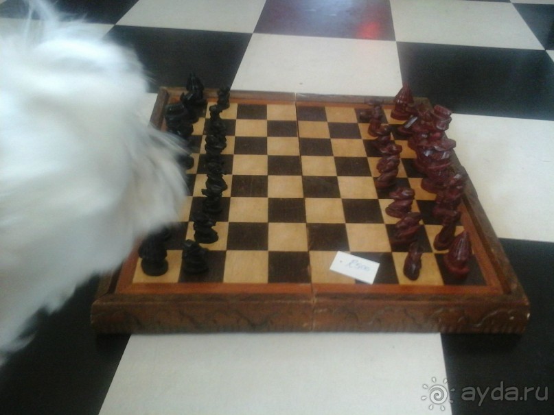 рай для коллекционеров