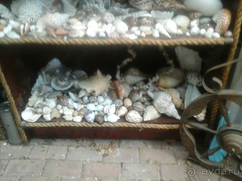 рай для коллекционеров