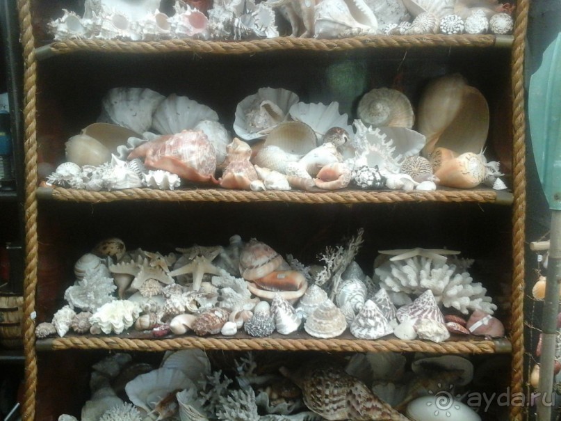 рай для коллекционеров