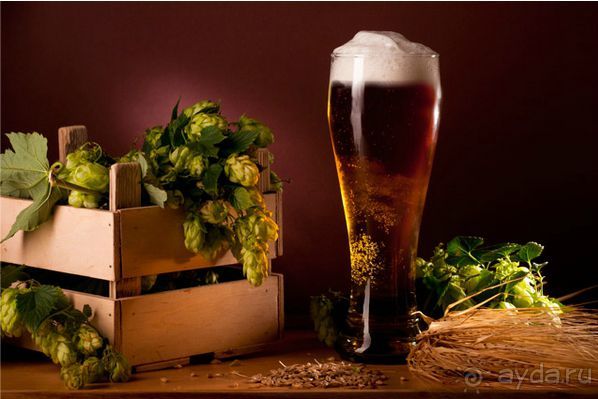 Перспективы работы в ЮАР и бизнес в ЮАР и с ЮАР