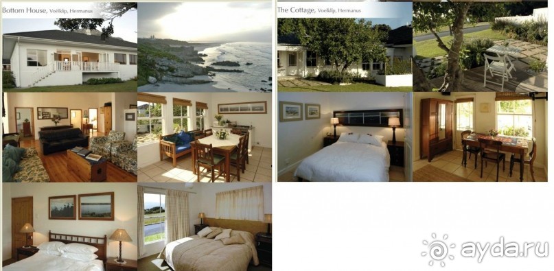 винные фермы