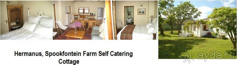 винные фермы