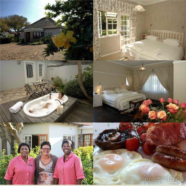 винные фермы