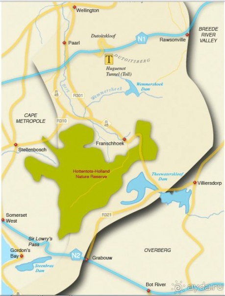 винные фермы