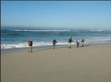 Маршрут R62-  маршрут  в страну чудес