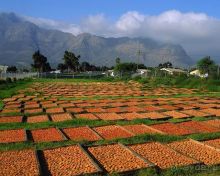 Маршрут R62-  маршрут  в страну чудес