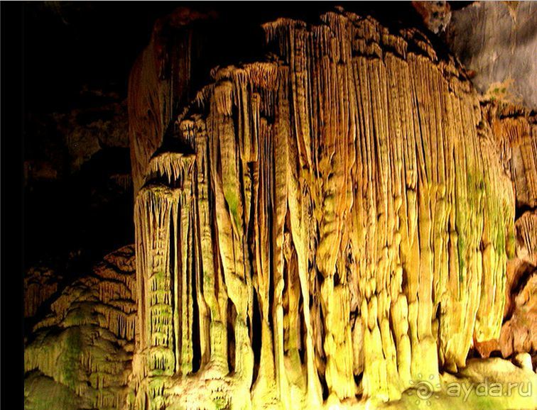 Маршрут R62-  маршрут  в страну чудес