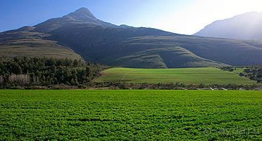 Маршрут R62-  маршрут  в страну чудес