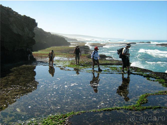 Маршрут R62-  маршрут  в страну чудес