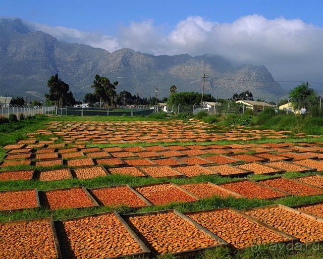 Маршрут R62-  маршрут  в страну чудес