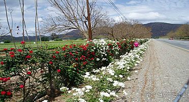 Маршрут R62-  маршрут  в страну чудес