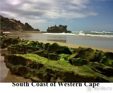 Недвижимость в ЮАР