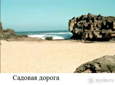 Недвижимость в ЮАР