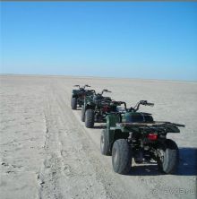 Для любителей дикой природы-  Ботсвана 