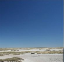 Для любителей дикой природы-  Ботсвана 