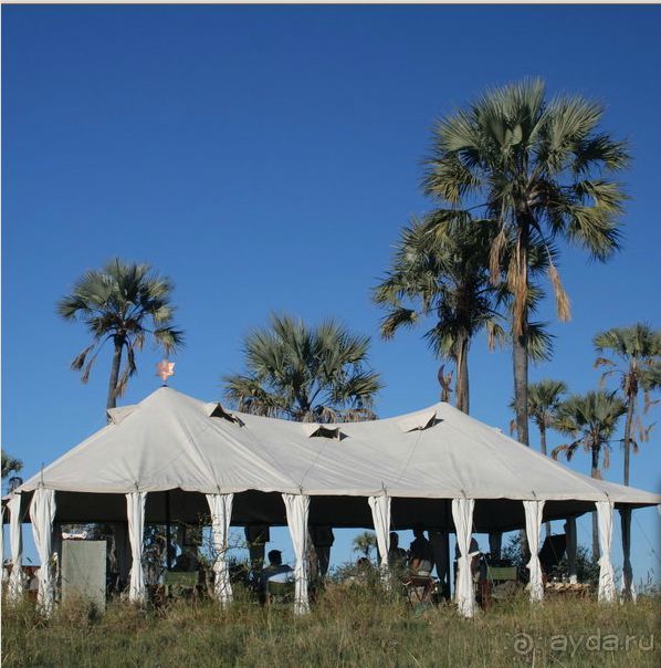 Для любителей дикой природы-  Ботсвана 