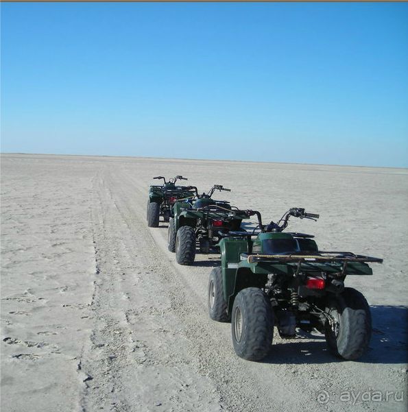 Для любителей дикой природы-  Ботсвана 