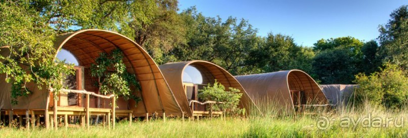 Для любителей дикой природы-  Ботсвана 