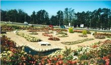 Свадебное путешествие