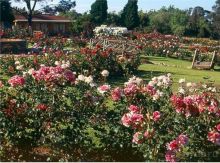 Свадебное путешествие