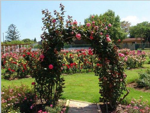 Свадебное путешествие