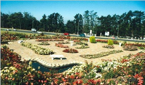 Свадебное путешествие