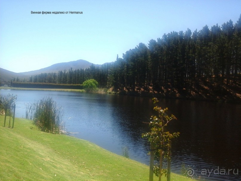 О ЮАР обо всем понемногу