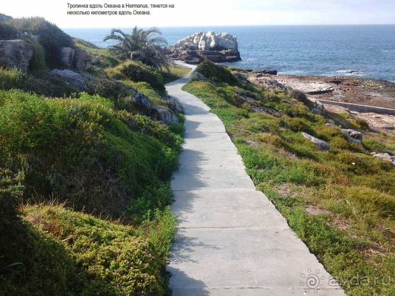 О ЮАР обо всем понемногу