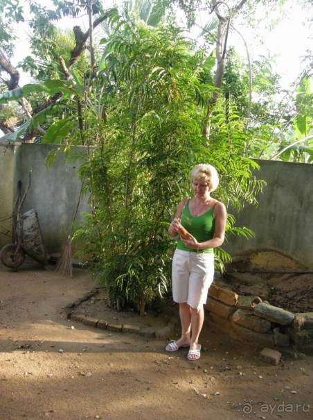 Где жить при поездке дикарем 