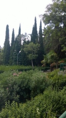 фото Санаторий им. Кирова