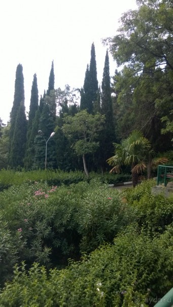 Далекое и близкое