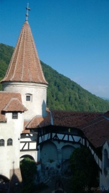 Почти как дома