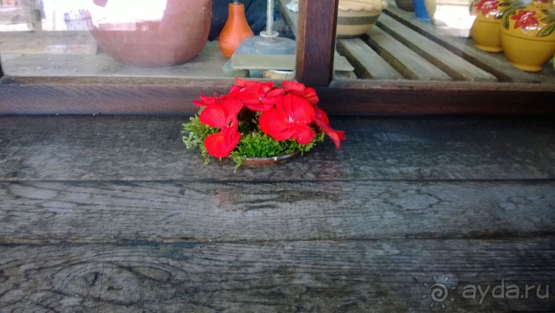 Почти как дома