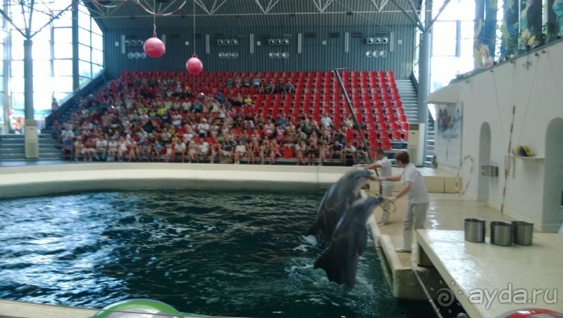 Почти как дома