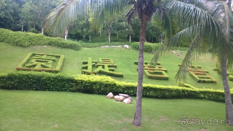 Цветущий остров страны Восходящего Солнца