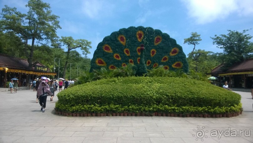 Цветущий остров страны Восходящего Солнца